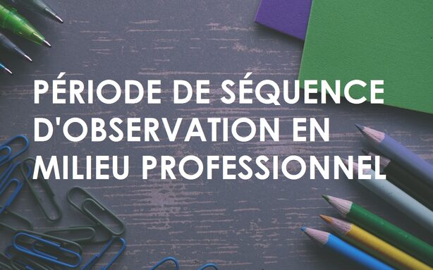 Séquence observation en milieu professionnel.jpg